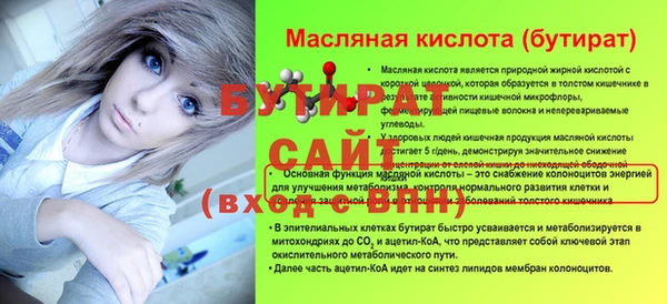 шишки Инта